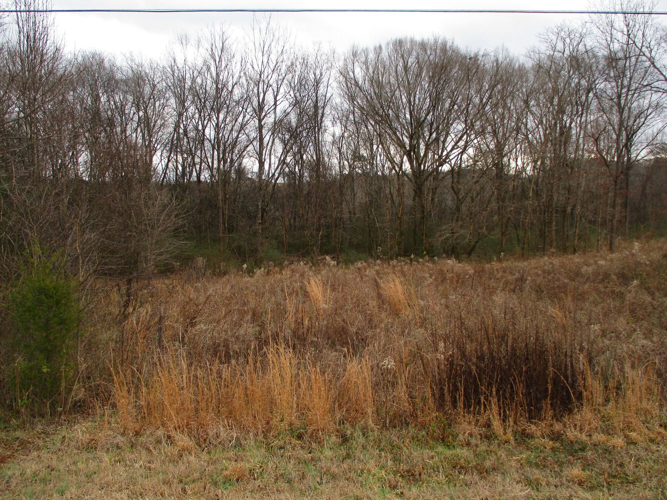 Highway 11 & County Rd 716: Highway 11 & County Rd 716, Riceville, TN 37370